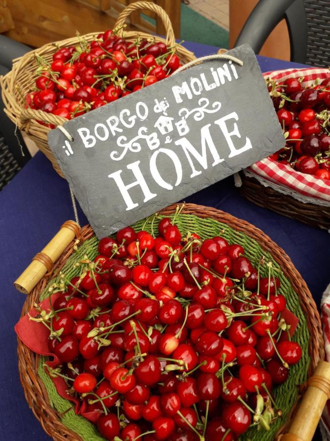 Bed and Breakfast Il Borgo Dei Molini Torreglia Екстер'єр фото
